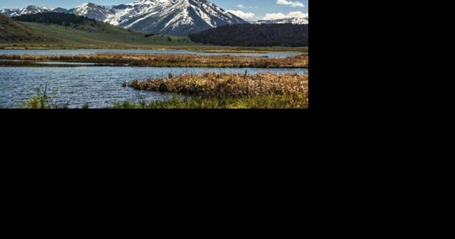 No pipeline for grayling: Feds abandon project proposed for wilderness area east of Lima - Vimarsana News