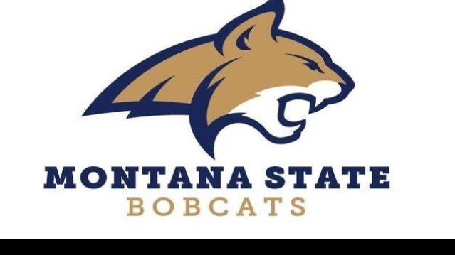 Montana State Men Land Juco Guard Commit From Texas School Bobcats Mtstandard Com