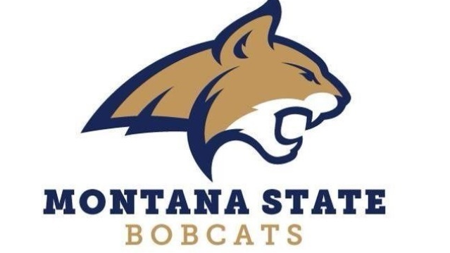 Montana State Men Land Juco Guard Commit From Texas School Bobcats Mtstandard Com