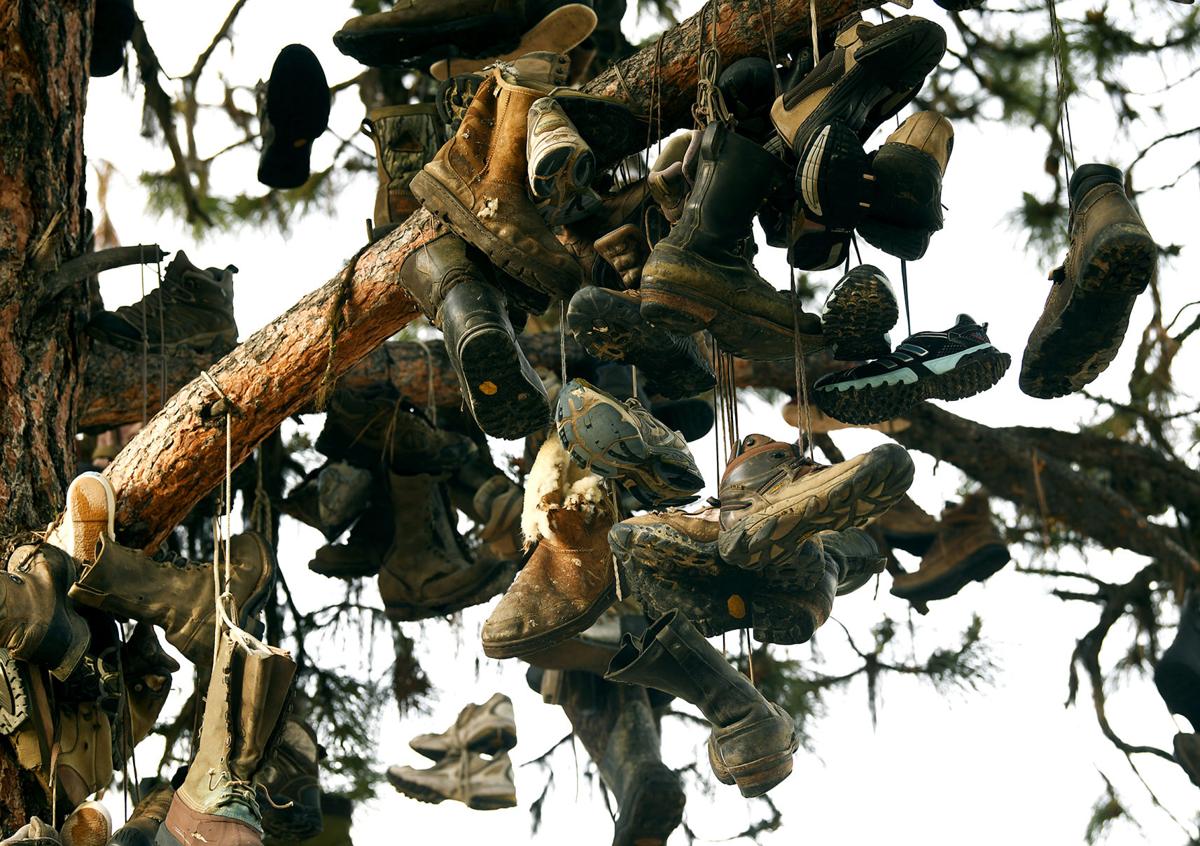 Ovando's Boot Tree spurs the imagination State & Regional