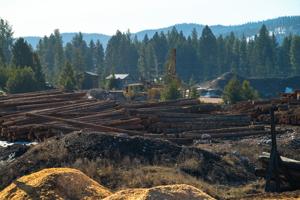 Wood products closures have ripple effects on Montana's timber economy