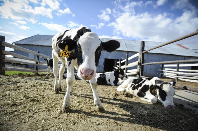 In 2020, the U.S. Department of Agriculture reported