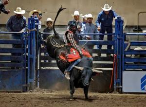 Toston's J.R. Harrell earns No. 2 bull riding score as high school rodeo finals near end