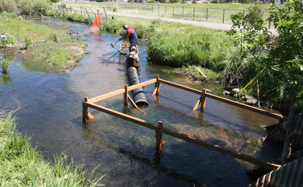 Beaver Deceivers: Devices aim to mitigate dams along Blacktail Creek