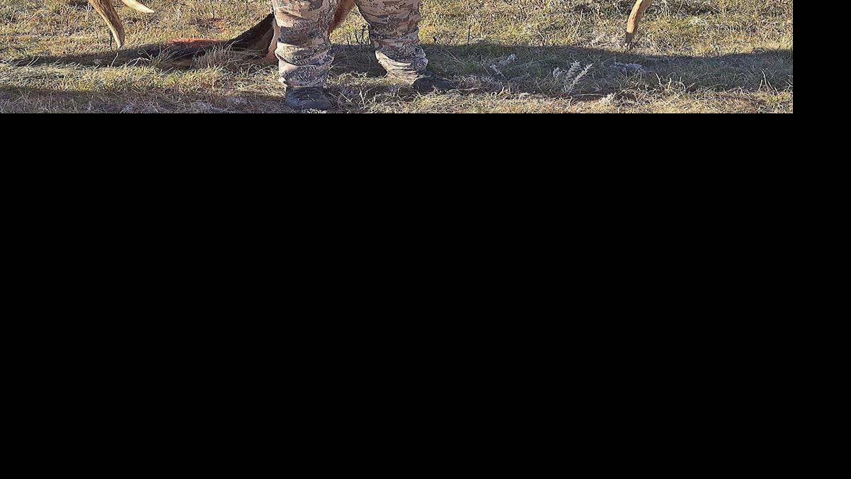Colstrip man's massive bull elk is the latest Montana nontypical record