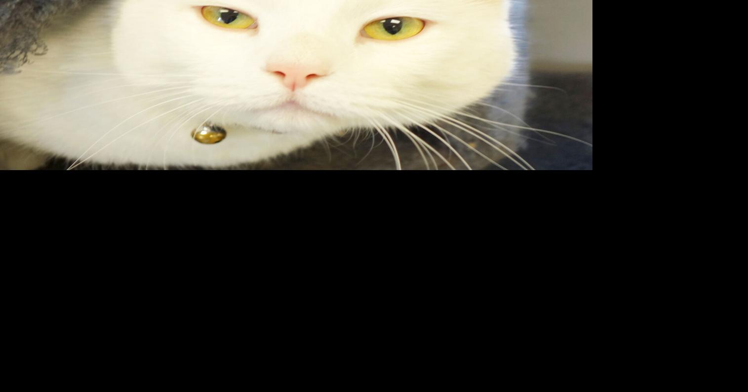 Jax