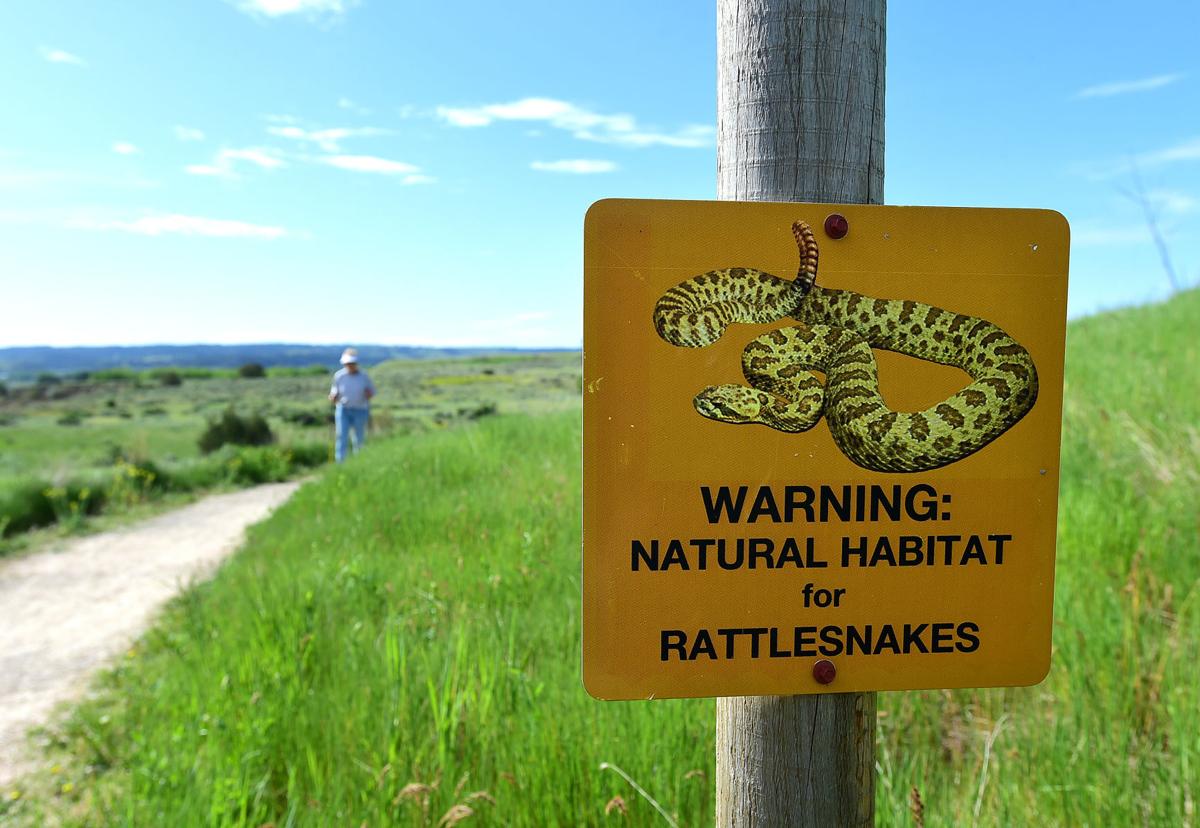 Dover Park snake sign