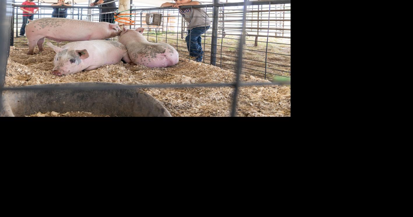 ButteSilver Bow County Fair kicks off