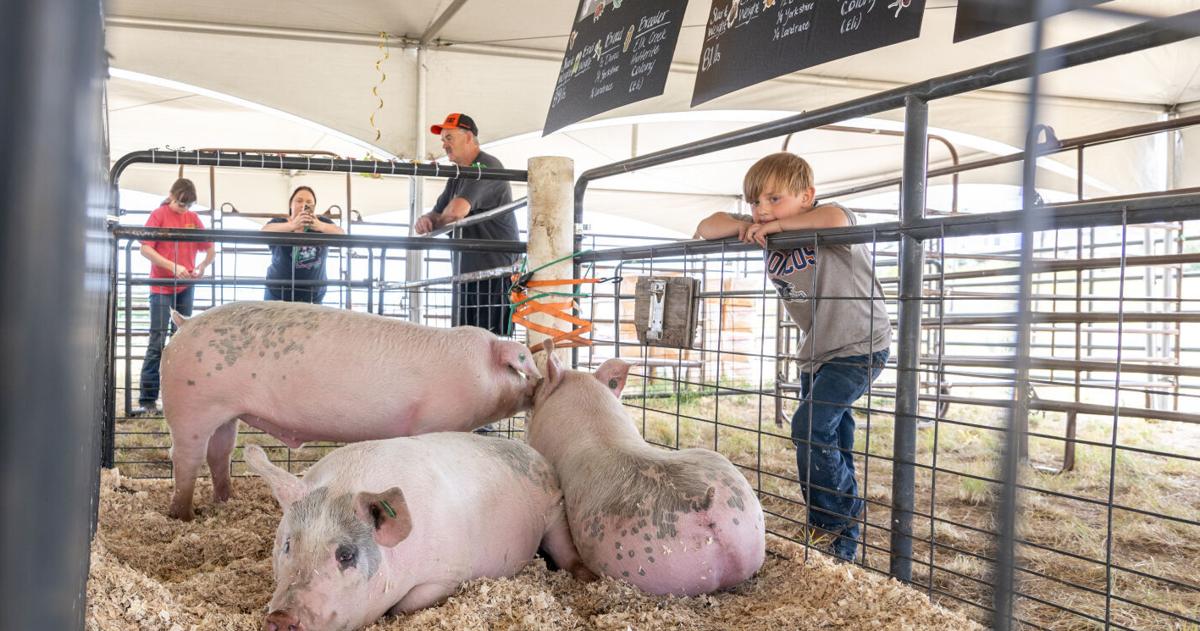 Silver Bow County Fair 2025