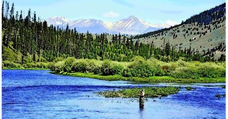 SOLITARY ANGLER