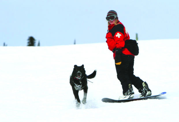 Digging his job: Lost Trail avalanche rescue dog at the ready