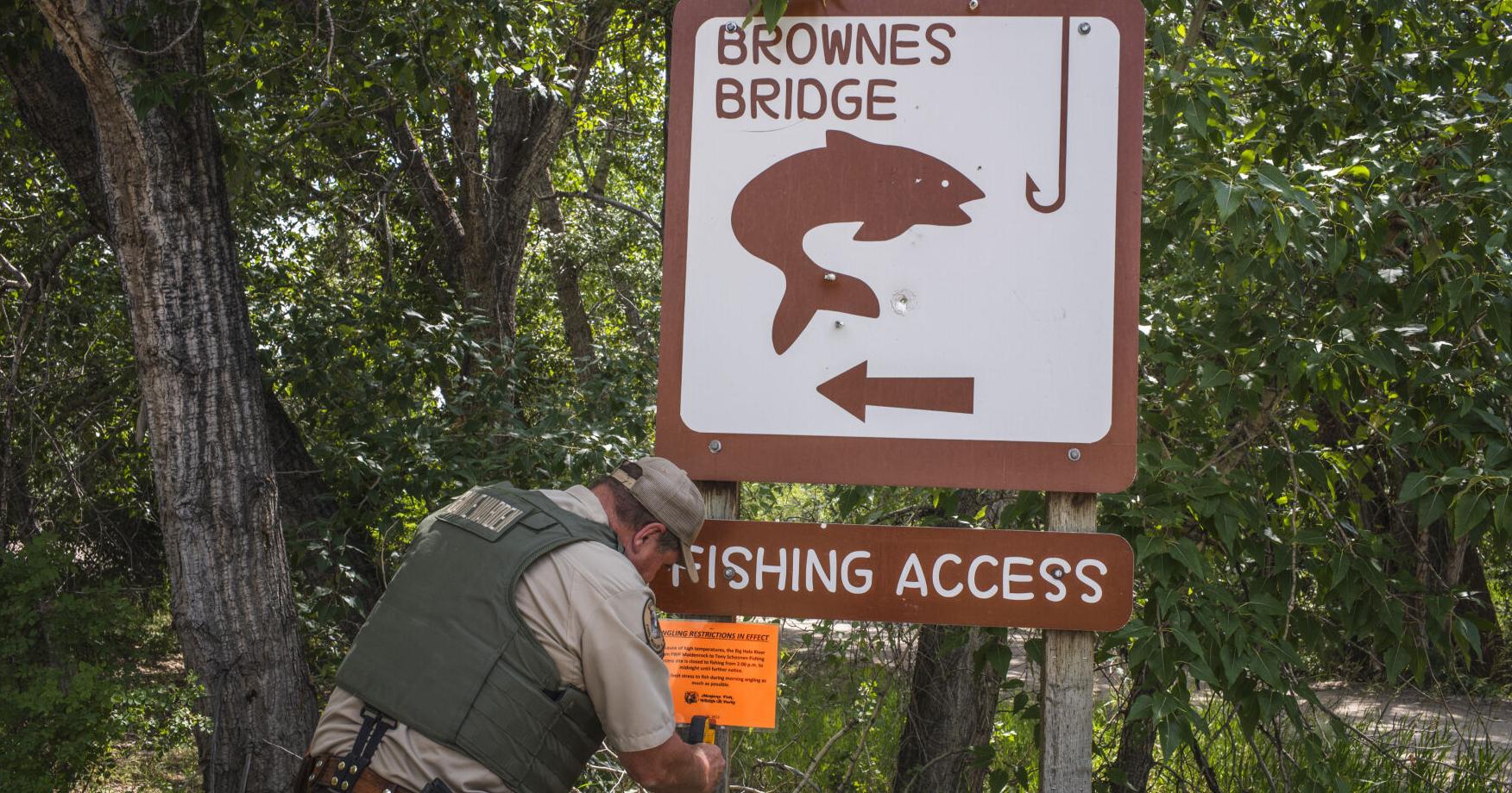 Fishing restrictions to be lifted on some streams in southwest Montana - Vimarsana News