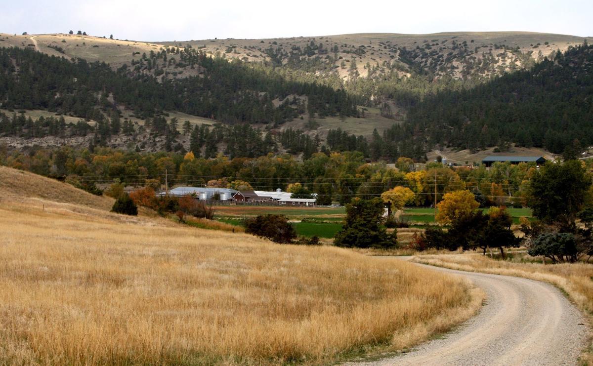 Mel Gibson's former Montana ranch for sale again for 29.8M State & Regional