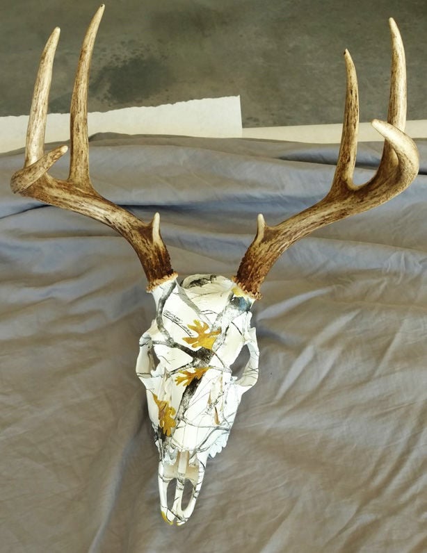 Bone Head Skull Works in Deer Lodge: Taking animal head preparation to ...