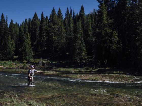 Montana State research powers new drought forecasts for Montana’s blue-ribbon trout rivers