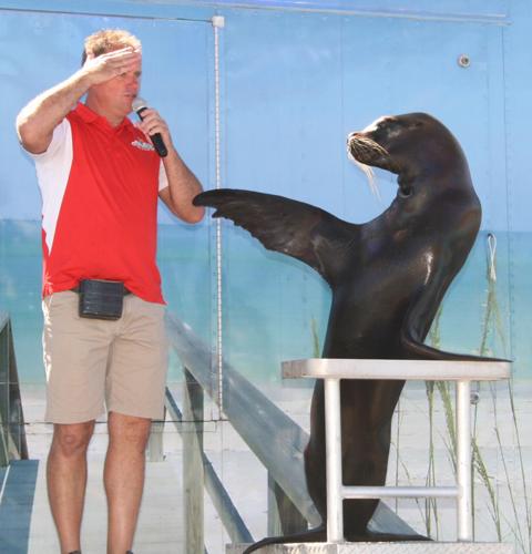 Sea Lions make a splash at 2023 New Mexico State Fair 