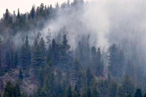 Forest Service summons more resources to fight Grouse Fire