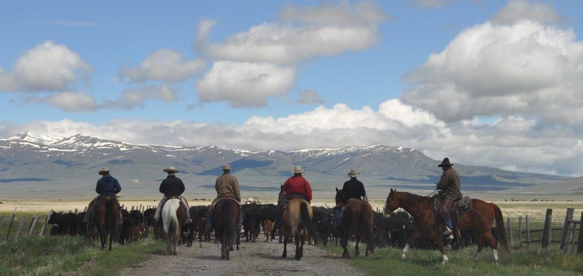 Beaverhead Ranch