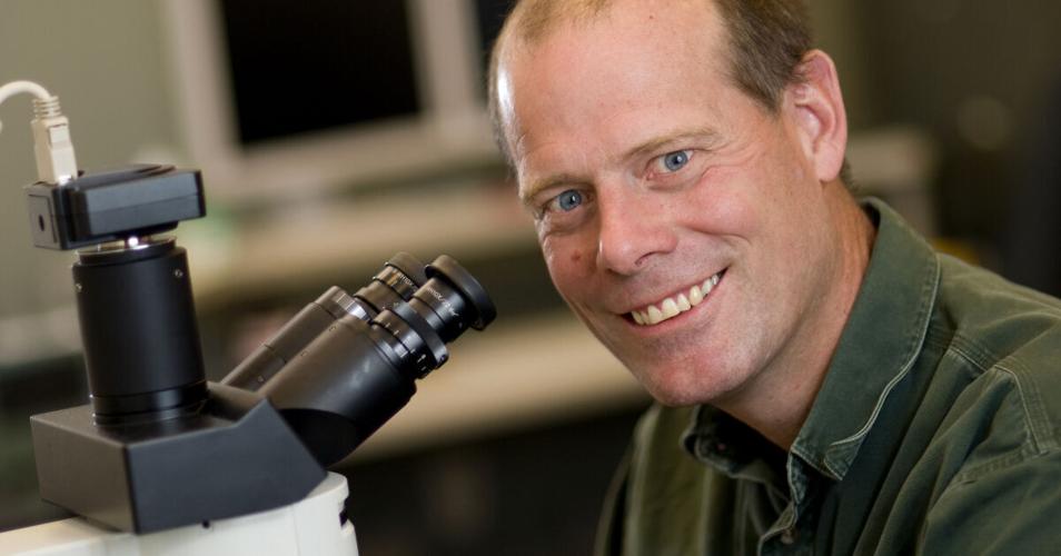 Montana State researcher discovers a critical cellular system that may one day lead to treatment of some cancers