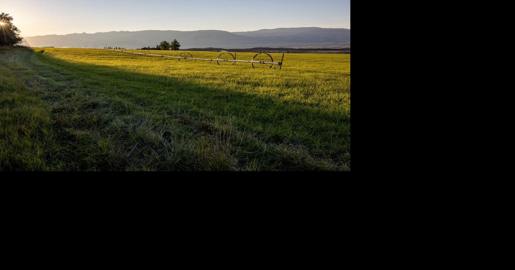 Keeping Paradise open: Nickelson family safeguards ranch from development