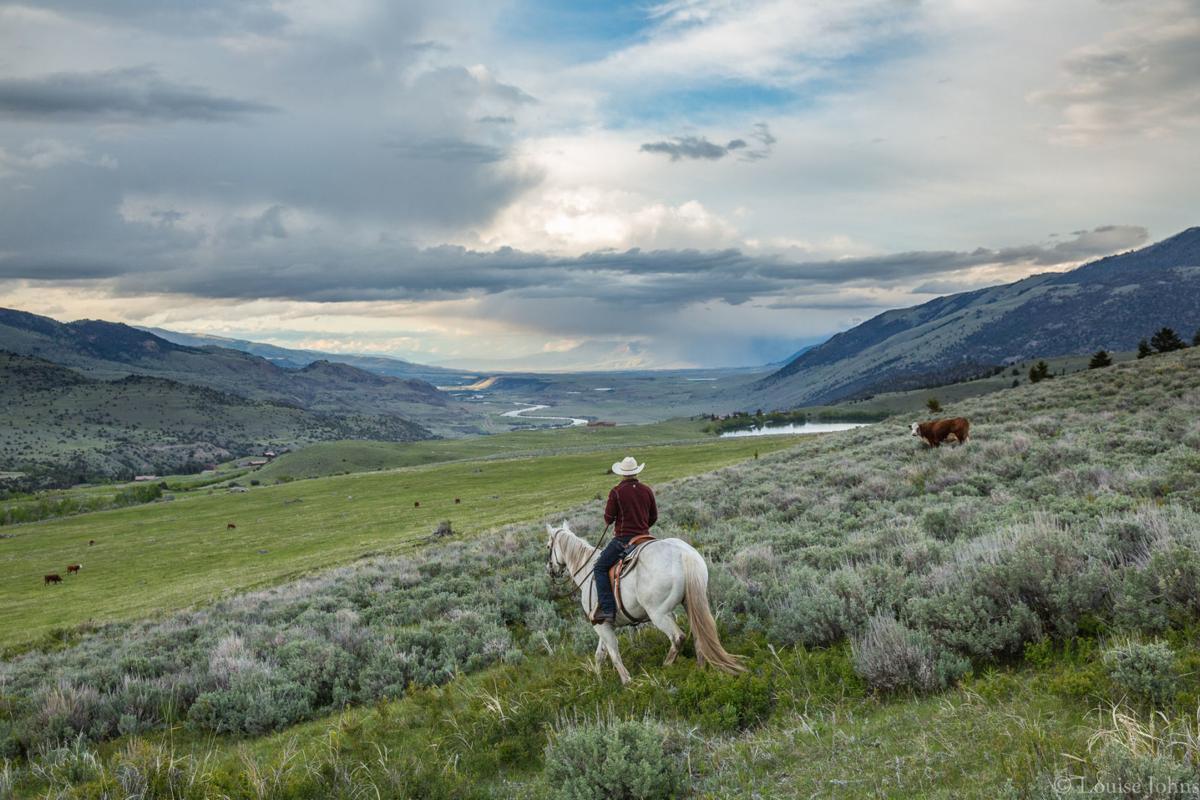 Range rider