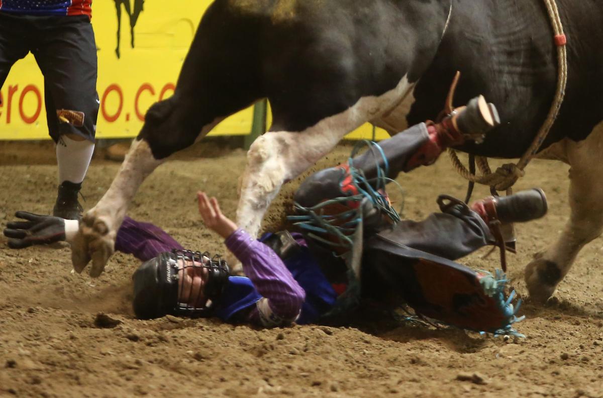 Bull steps on rodeo rider's chest in Wyoming, sending him to the