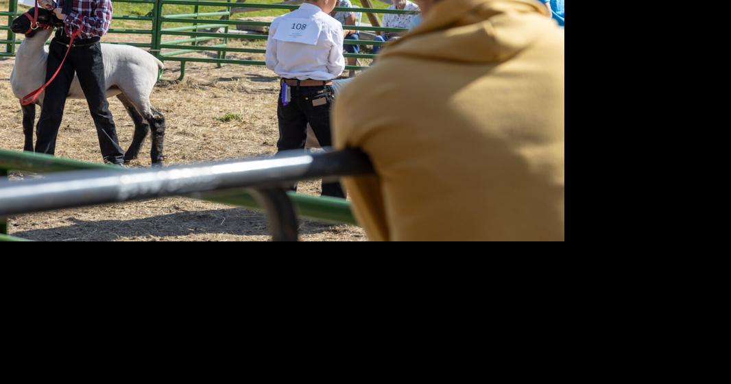 Silver Bow County Fair 2025
