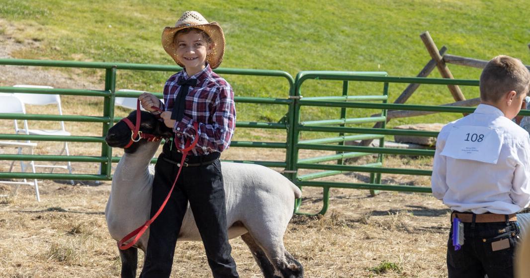 Silver Bow County Fair 2025