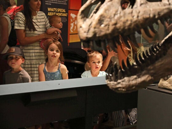 Museum of the Rockies to celebrate National Fossil Day on Oct. 10