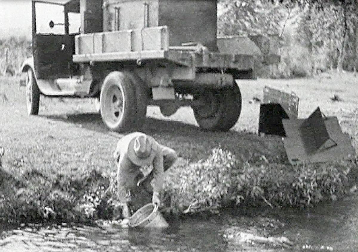 Montana Wildlife Film Made In 1920s Found At Spokane Garage Sale