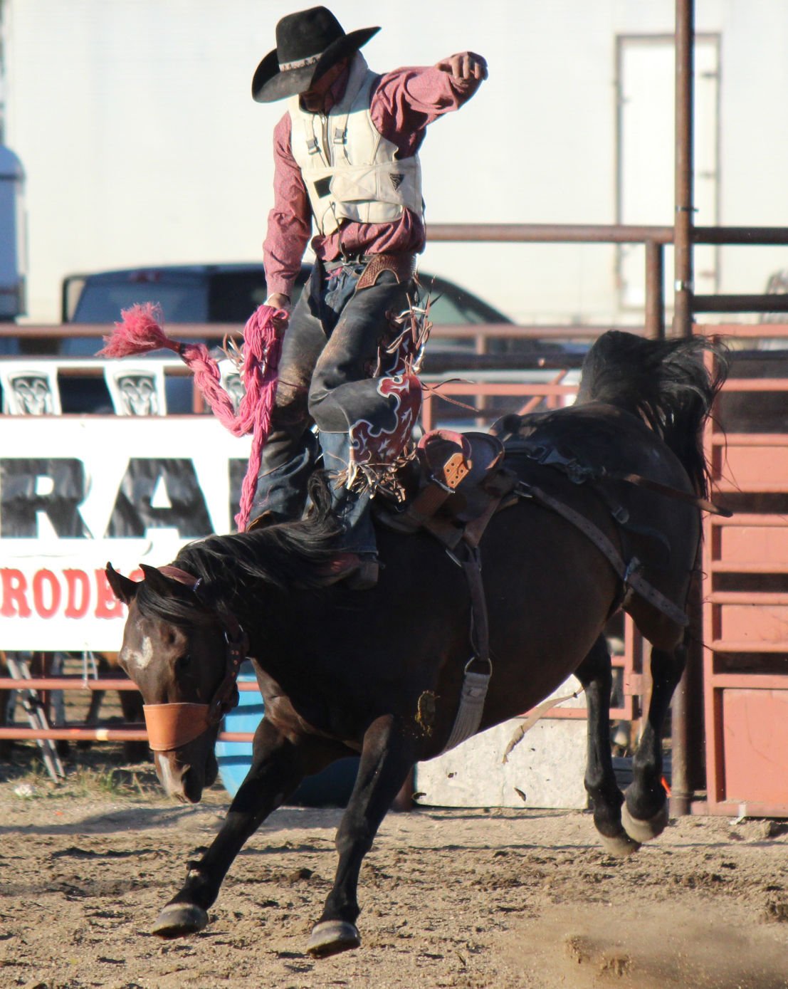 Animal kingdom Bulls and broncs steal show at NRA Rodeo Local Sports