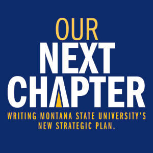 Montana State strategic plan listening sessions planned for July in Kalispell, Great Falls, Helena, Butte and Bozeman