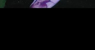 James R. Courtney - Vimarsana News