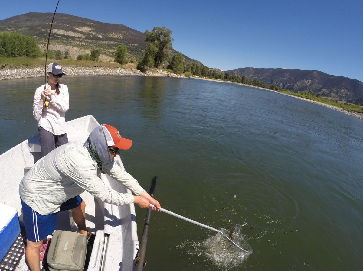 Montana fishing report Rivers drop, clear as summer heats up