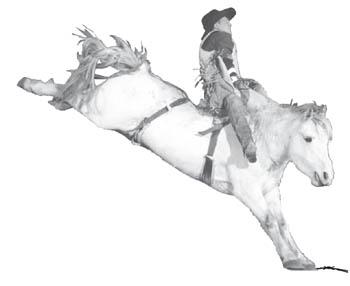 The Fate of the Bucking Horse 