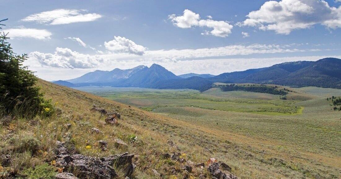FWS conservation plan comment extended after criticism - Vimarsana News