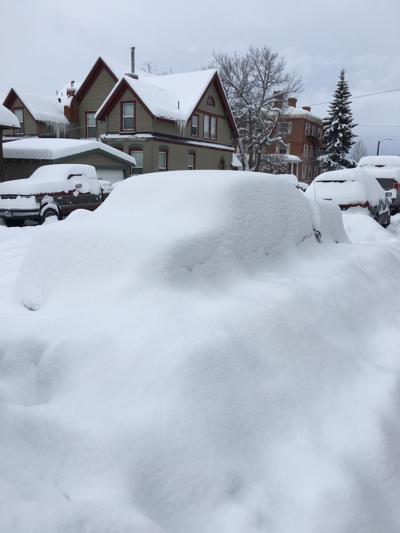 no delivery today in anaconda deer lodge local resume for musician