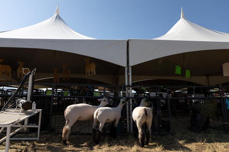 ButteSilver Bow County Fair to be held at Butte Civic Center