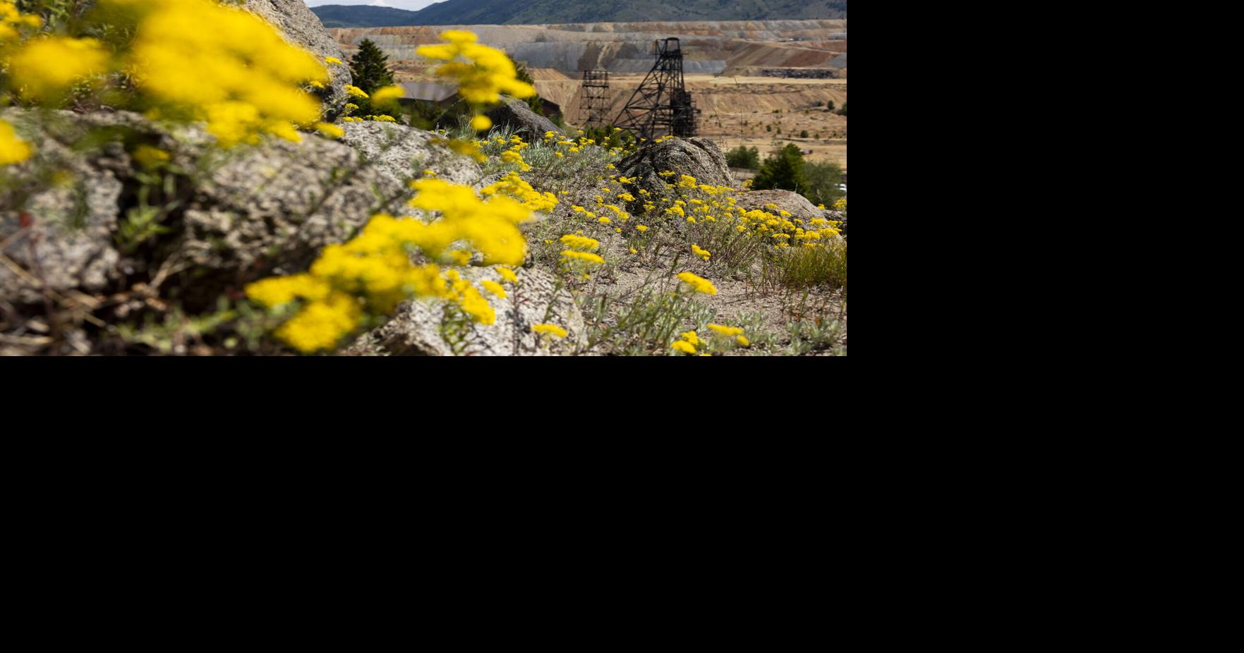Silver Bow Mining gains underground access through historic Chief Joseph Portal