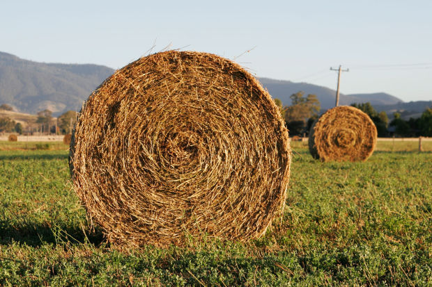 Hay bale