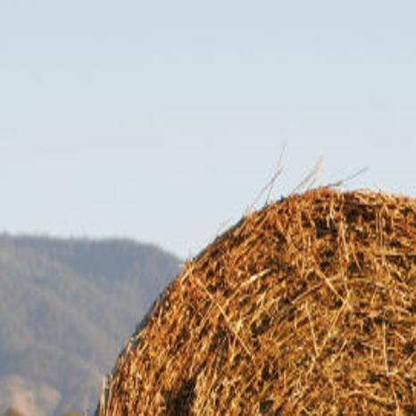 How Long Does A Hay Bale Last