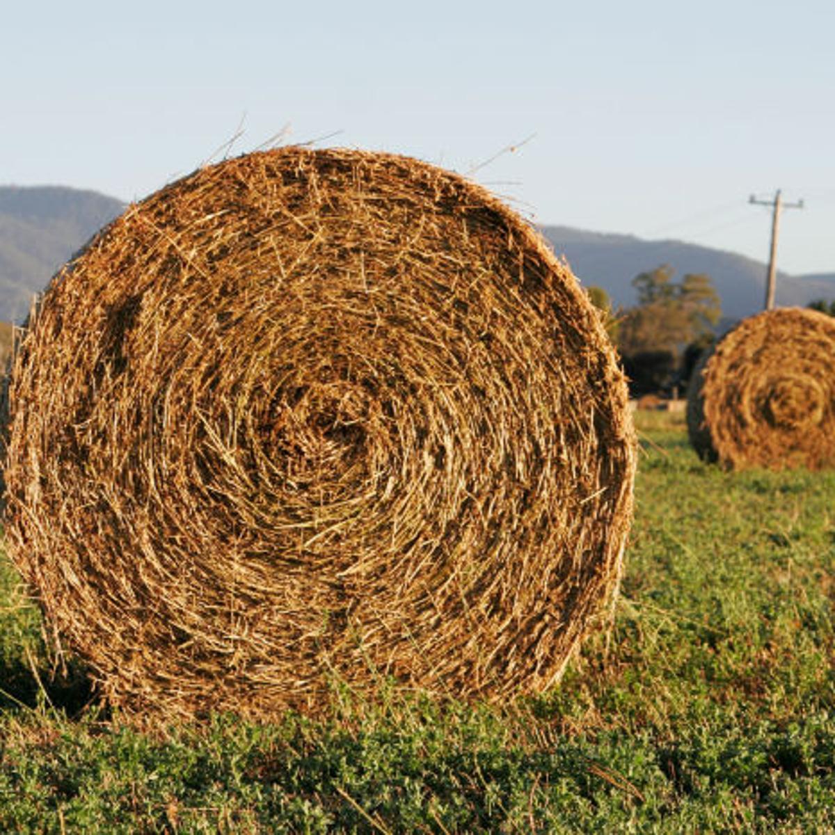 How Long Does A Hay Bale Last How Long Does A Hay Bale Last