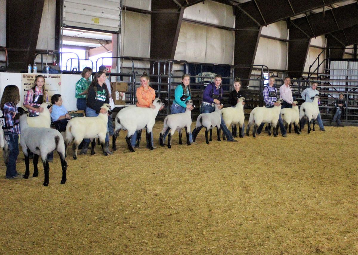 TriCounty Fair set Aug. 1621 in Deer Lodge