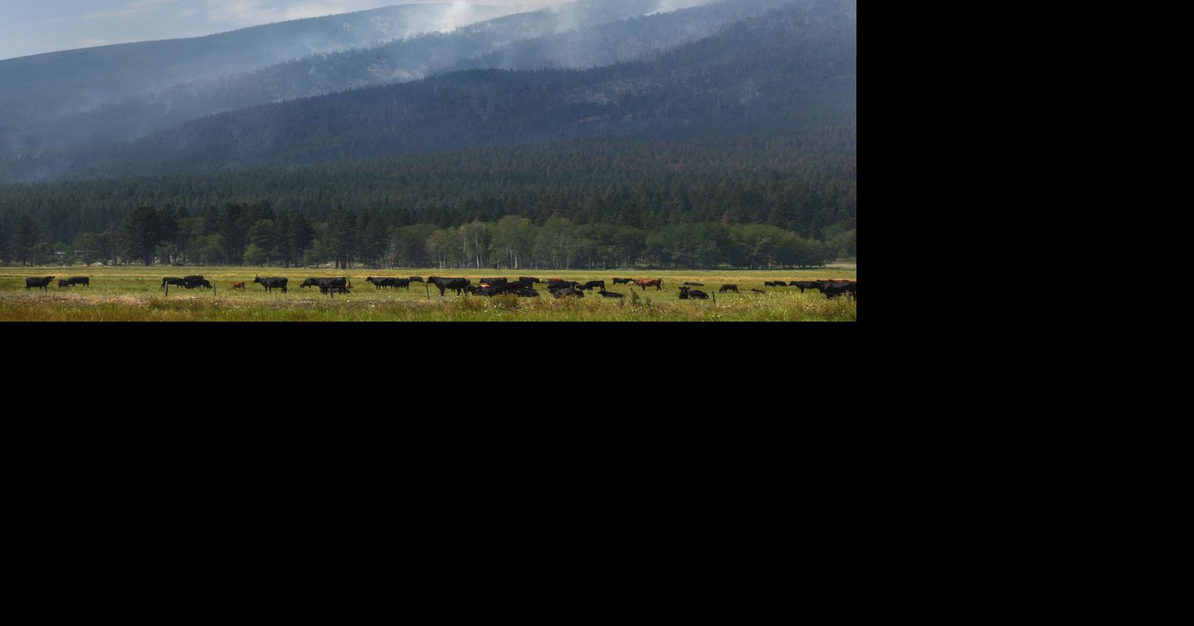 No more campfires Stage 1 fire restrictions for Ravalli County