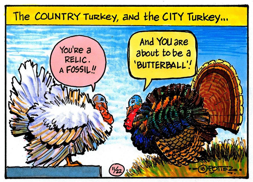 Facts about wild turkeys for your Thanksgiving Day | Outdoors | mtstandard.com