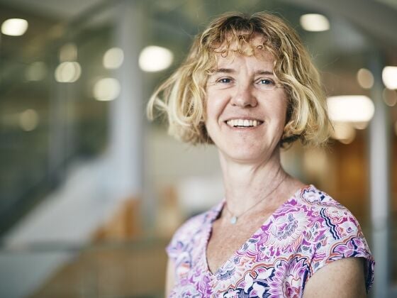 Too much hype? Montana State professor publishes research on best language to use for successful crowdfunding