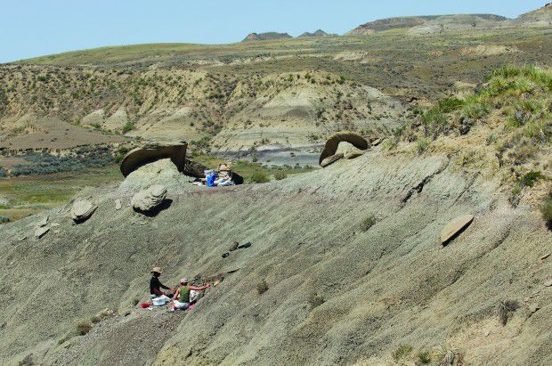 Hell Creek Formation