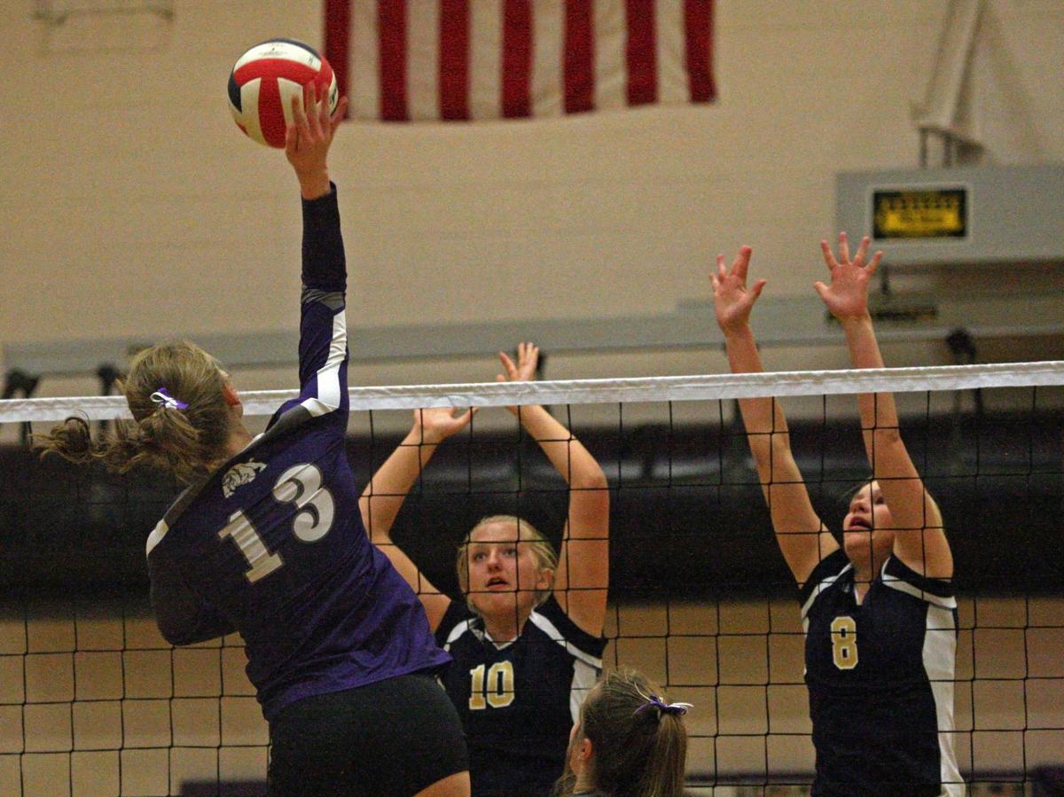 Butte High volleyball tops Dillon in straight sets as Bulldogs continue ...