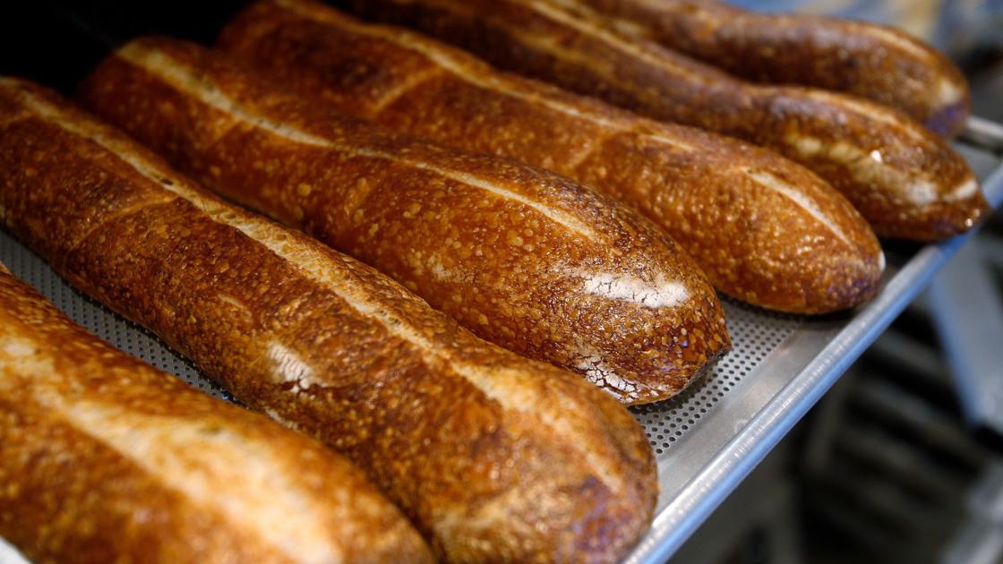 Photos: Panera Bread prepares to open | State & Regional ...