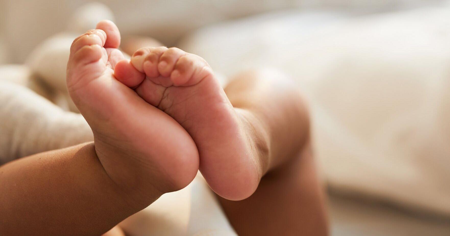 Montana death rates approaching pre-pandemic levels - Vimarsana News